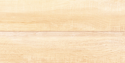 Briole Wood WT9BRE11 Плитка настенная 249*500*7,5 (12 шт в уп/80.676 м в пал)